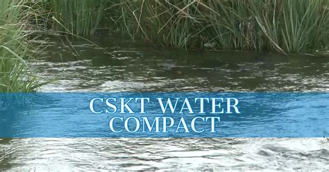 cskt water web portal